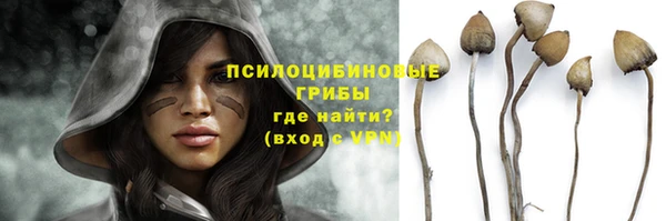 гашик Бородино