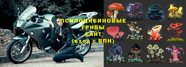 амф Бронницы