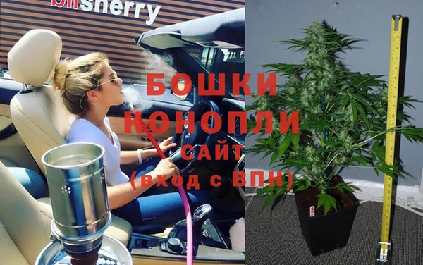 твердый Ростов