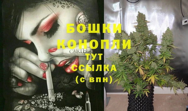 амф Бронницы
