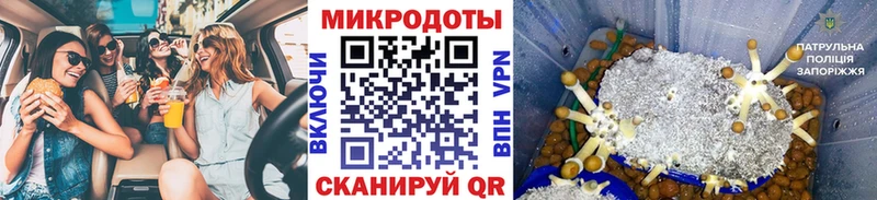 kraken рабочий сайт  это Telegram  Псилоцибиновые грибы MAGIC MUSHROOMS  Дубовка 